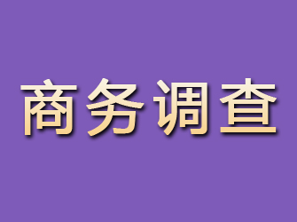 安国商务调查